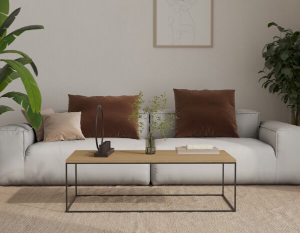 Minimalistische lage eiken salontafel, 100 x 50 cm