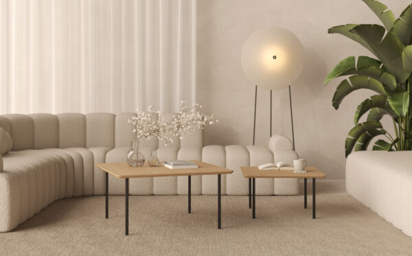 Set van 2 lage industriële houten salontafels
